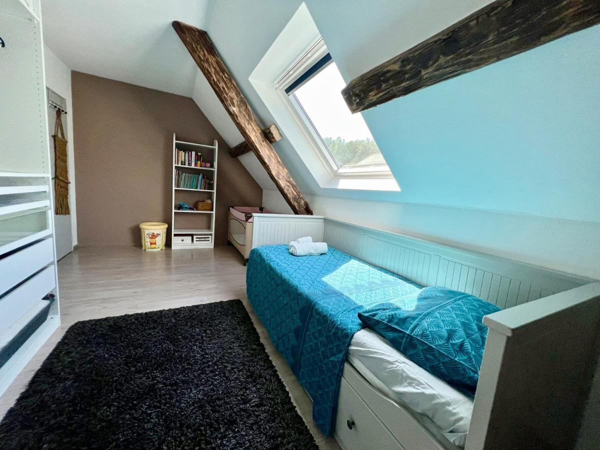 Superbe Appartement Duplex A Kaysersberg En Alsace Екстериор снимка